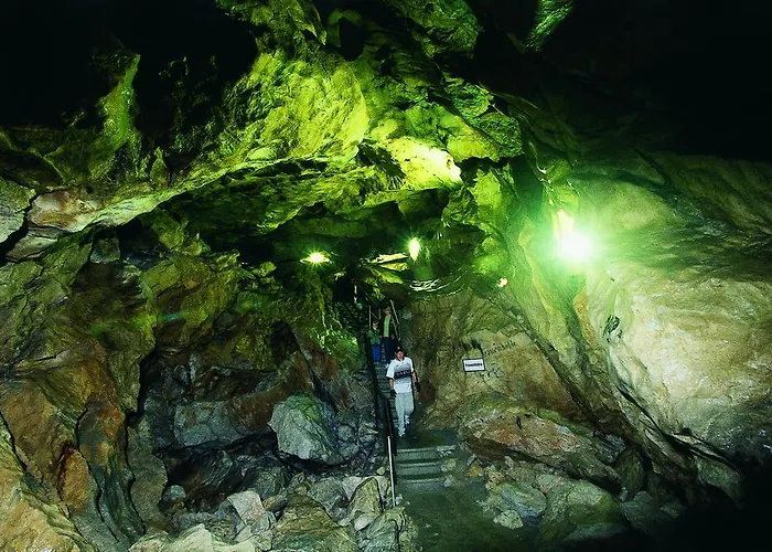 Lejlighed Haus Mindermann *